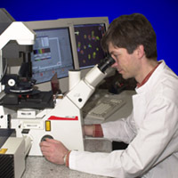 Forscher am Bereich Humanmedizin der Universität Göttingen mit Mikroskop