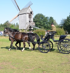 Kutschenpräsentation vor der fast 400 Jahre alten Bockwindmühle im Museumsdorf Cloppenburg