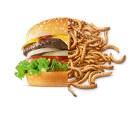 Wurmburger
