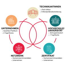 Infografik zum Niedersachsen‑Technikum: zentrale Venn‑Grafik verbindet ‚Unternehmen‘ (bezahltes Praktikum, 4 Tage), ‚Hochschule/Universität‘ (Schnupperstudium, 1 Tag) und ‚Technikantinnen‘ ((Fach‑)Abitur, 6 Monate).
