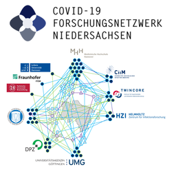 Schmuckbild: das COFONI-Netzwerk