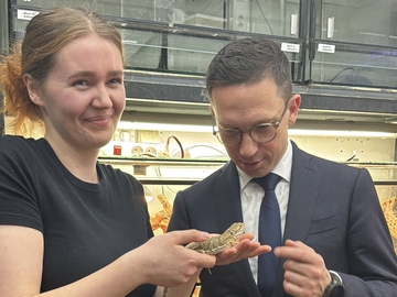 Minister Falko Mohrs steht neben der Tierpflegerin in Ausbildung Anna Müller, die eine kleine Echse in den Händen hält. Beide lächeln. Sie befinden sich in einem Raum mit Terrarien und Regalen voller Behälter im Hintergrund.