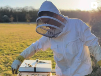 Minister Mohrs trägt einen Imkeranzug und kümmert sich in einem Kornfeld um ein Bienenvolk.