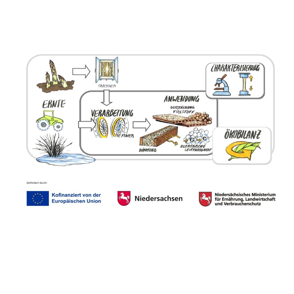 Bunte, kleine Zeichnungen stellen schematisch die Projekte I-RoBi und SpaPlast II dar.