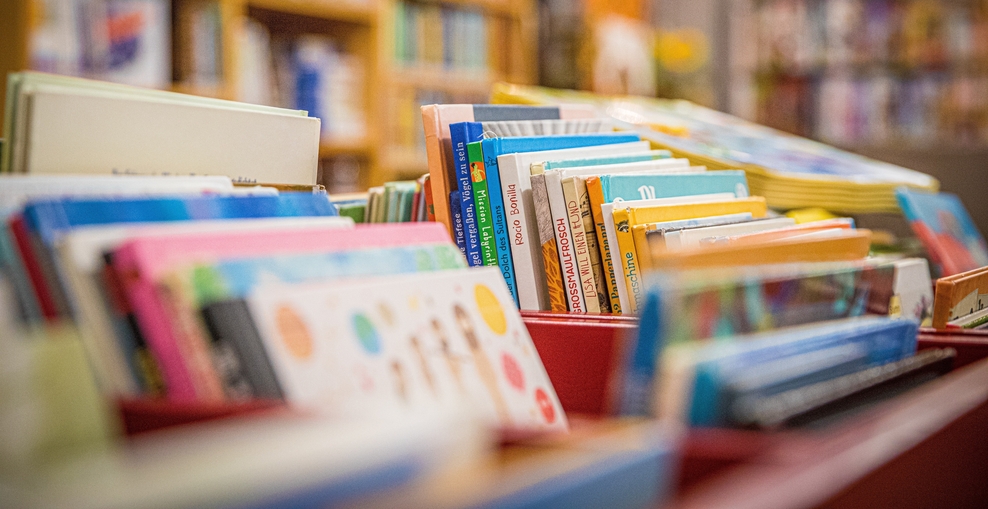 Symbolbild: Nahaufnahme mehrerer Reihen farbenfroher Bücher, die schräg in niedrigen Regalen stehen. Im Hintergrund sind hohe Bücherregale unscharf zu sehen. Warmes Licht und geringe Tiefenschärfe betonen die Buchrücken im Vordergrund.