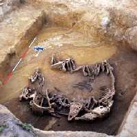 Ausgrabungen: Sächsischer Friedhof bei Rullstorf in der Nähe von Lüneburg